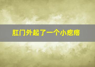 肛门外起了一个小疙瘩