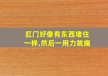 肛门好像有东西堵住一样,然后一用力就痛