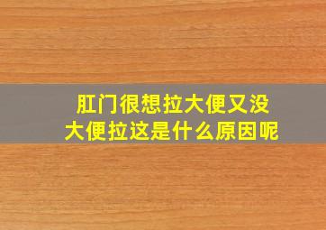 肛门很想拉大便又没大便拉这是什么原因呢