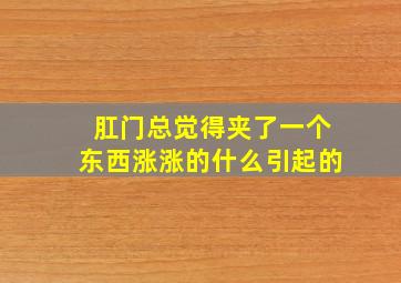 肛门总觉得夹了一个东西涨涨的什么引起的