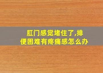 肛门感觉堵住了,排便困难有疼痛感怎么办