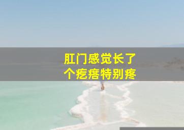 肛门感觉长了个疙瘩特别疼