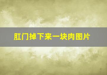 肛门掉下来一块肉图片