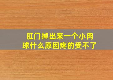 肛门掉出来一个小肉球什么原因疼的受不了