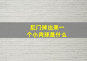 肛门掉出来一个小肉球是什么