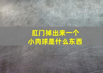 肛门掉出来一个小肉球是什么东西