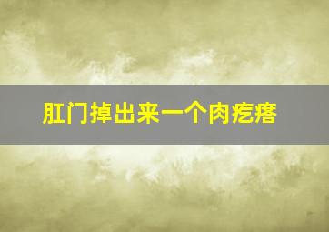 肛门掉出来一个肉疙瘩