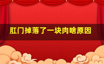 肛门掉落了一块肉啥原因