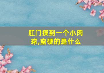 肛门摸到一个小肉球,蛮硬的是什么