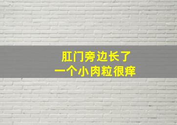 肛门旁边长了一个小肉粒很痒