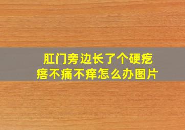 肛门旁边长了个硬疙瘩不痛不痒怎么办图片