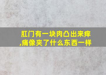 肛门有一块肉凸出来痒,痛像夹了什么东西一样