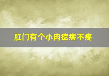 肛门有个小肉疙瘩不疼