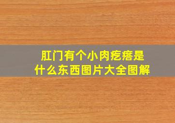 肛门有个小肉疙瘩是什么东西图片大全图解