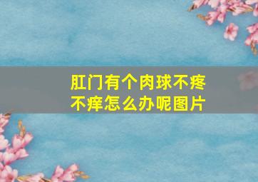 肛门有个肉球不疼不痒怎么办呢图片