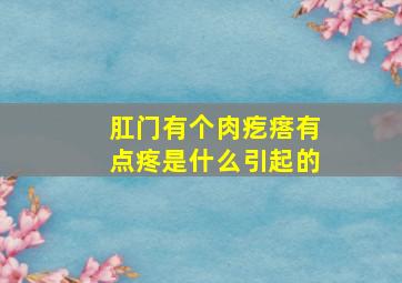 肛门有个肉疙瘩有点疼是什么引起的