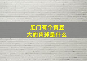 肛门有个黄豆大的肉球是什么