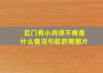 肛门有小肉球不疼是什么情况引起的呢图片