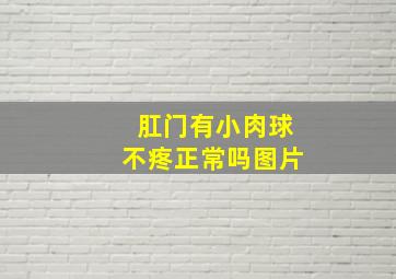 肛门有小肉球不疼正常吗图片