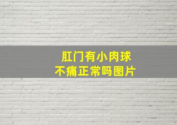 肛门有小肉球不痛正常吗图片