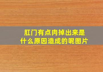 肛门有点肉掉出来是什么原因造成的呢图片