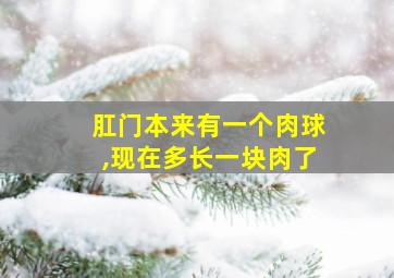 肛门本来有一个肉球,现在多长一块肉了