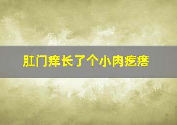 肛门痒长了个小肉疙瘩