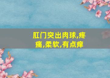 肛门突出肉球,疼痛,柔软,有点痒