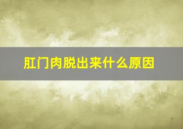 肛门肉脱出来什么原因