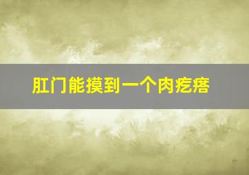 肛门能摸到一个肉疙瘩