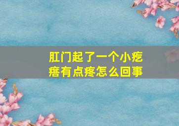 肛门起了一个小疙瘩有点疼怎么回事