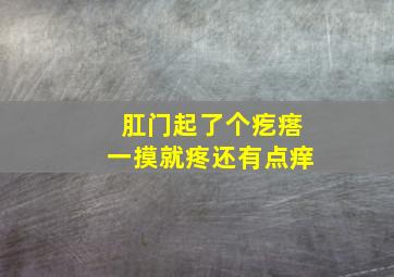 肛门起了个疙瘩一摸就疼还有点痒