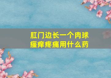 肛门边长一个肉球瘙痒疼痛用什么药