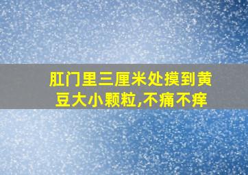 肛门里三厘米处摸到黄豆大小颗粒,不痛不痒