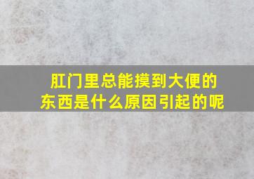 肛门里总能摸到大便的东西是什么原因引起的呢