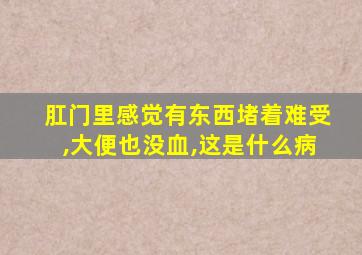 肛门里感觉有东西堵着难受,大便也没血,这是什么病