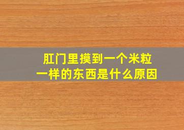 肛门里摸到一个米粒一样的东西是什么原因