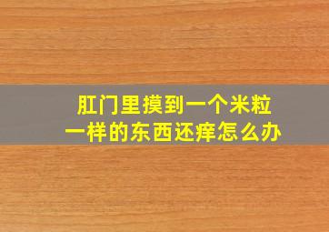 肛门里摸到一个米粒一样的东西还痒怎么办