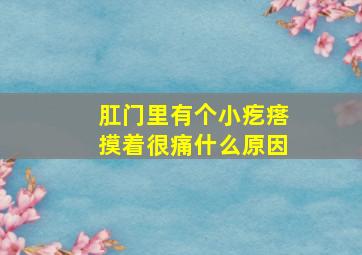 肛门里有个小疙瘩摸着很痛什么原因