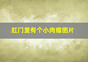 肛门里有个小肉瘤图片