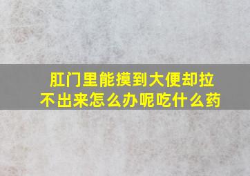 肛门里能摸到大便却拉不出来怎么办呢吃什么药