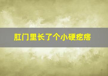 肛门里长了个小硬疙瘩