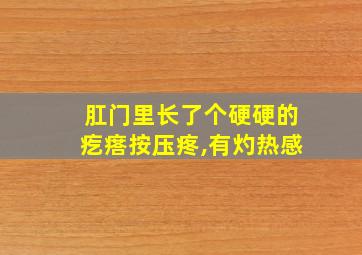 肛门里长了个硬硬的疙瘩按压疼,有灼热感