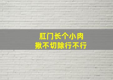 肛门长个小肉揪不切除行不行