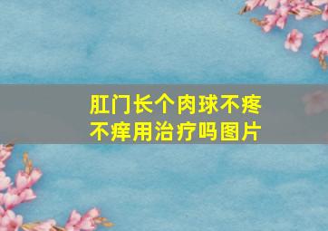 肛门长个肉球不疼不痒用治疗吗图片