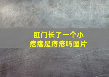 肛门长了一个小疙瘩是痔疮吗图片