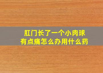 肛门长了一个小肉球有点痛怎么办用什么药