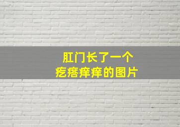 肛门长了一个疙瘩痒痒的图片