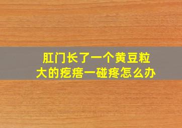 肛门长了一个黄豆粒大的疙瘩一碰疼怎么办