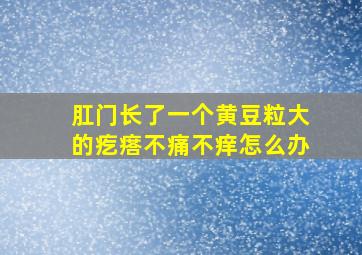 肛门长了一个黄豆粒大的疙瘩不痛不痒怎么办